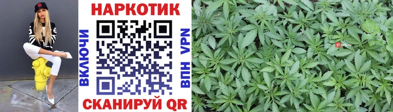 Магазины продажи наркотиков Новая Ляля Псилоцибиновые грибы ЭКСТАЗИ Меф ГАШИШ A PVP Кокаин
