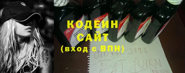 гашик Алексин