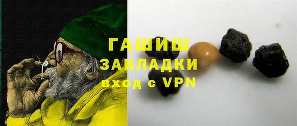 гашик Алексин