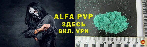 гашик Алексин