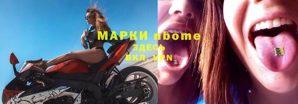 гашик Алексин