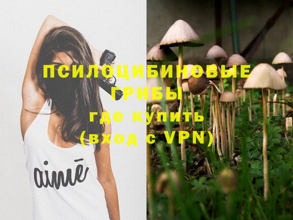 амф Алзамай