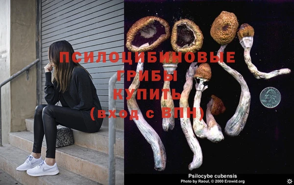 гашик Алексин