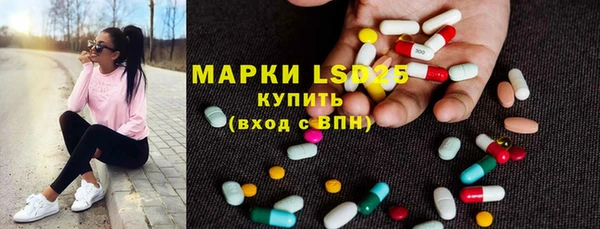 гашик Алексин