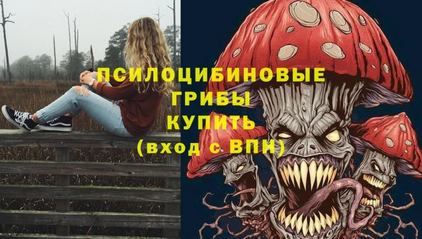 амф Алзамай