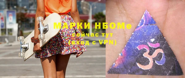гашик Алексин